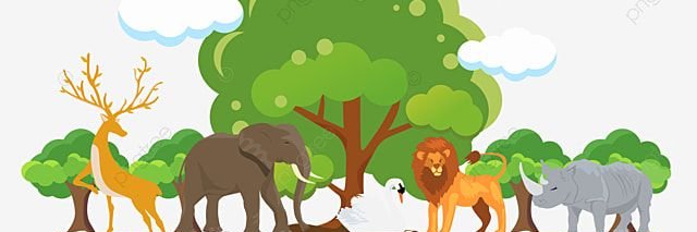 luis elias lopez banner