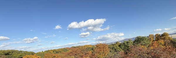 chiruya5 Profile Banner
