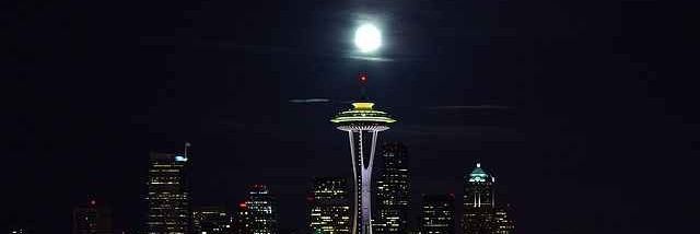 Gator-Man (Parody) banner