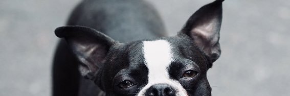 _SarahDelRey's profile banner image