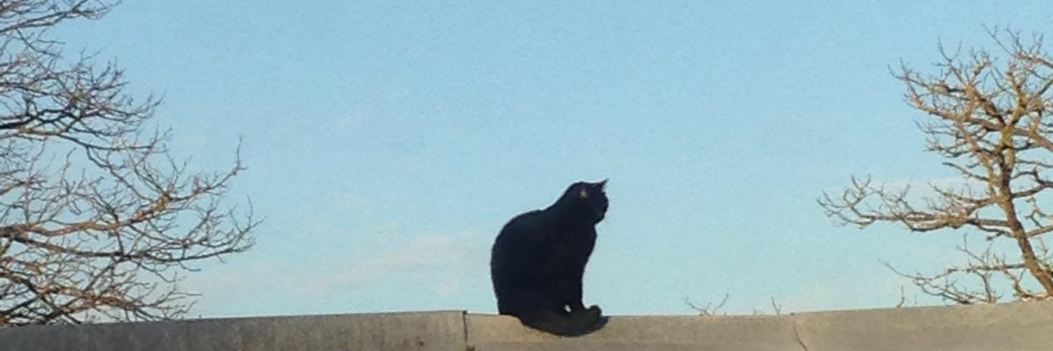 Etincelles's profile banner image