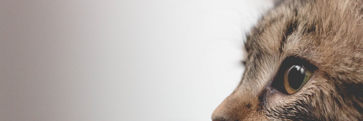 Rob❤️️👊😉 banner