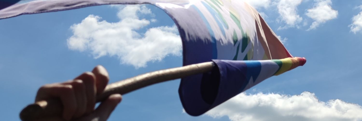 Linksjugend Westlausitz 🏴🚩 banner