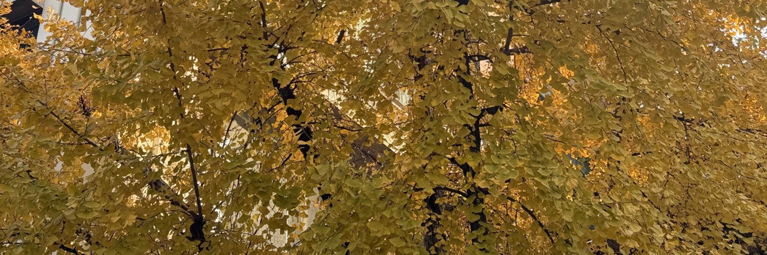 今晚睡桥洞 banner
