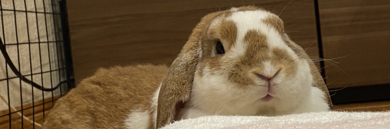 okayuji's profile banner image