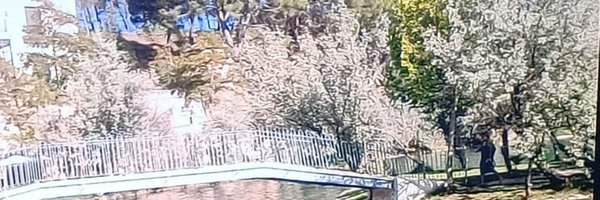 josanz10 Profile Banner