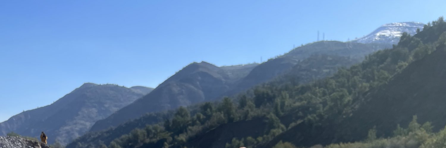 celeste ausa banner