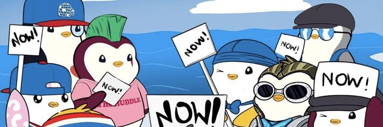 cryptoracyy's profile banner image
