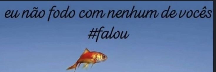 novin esoterico banner