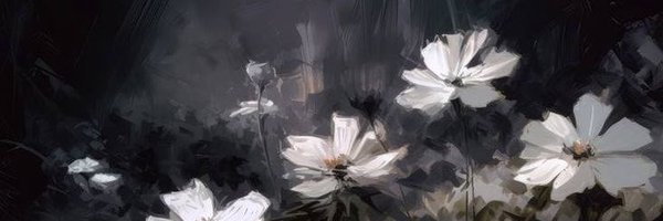 yotanwaa1 Profile Banner