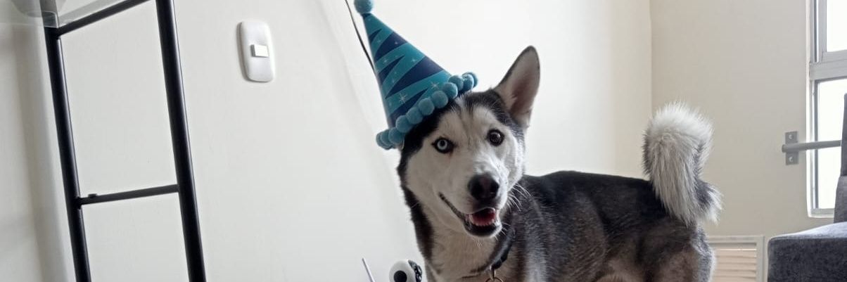 AleehKR's profile banner image