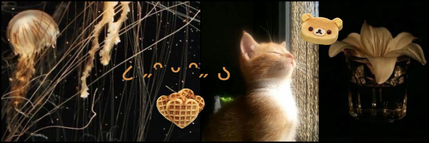 onlyyleeknows's profile banner image