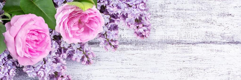 lvmc_22's profile banner image