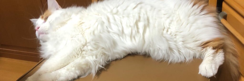 MMtsu_'s profile banner image