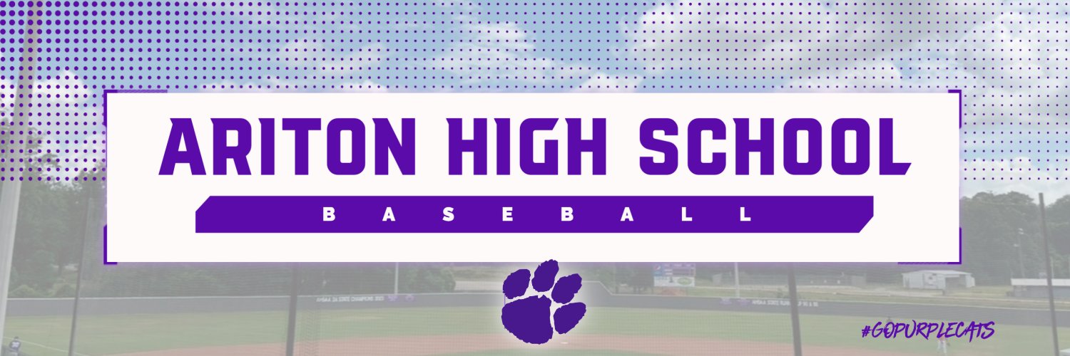 Ariton Baseball banner