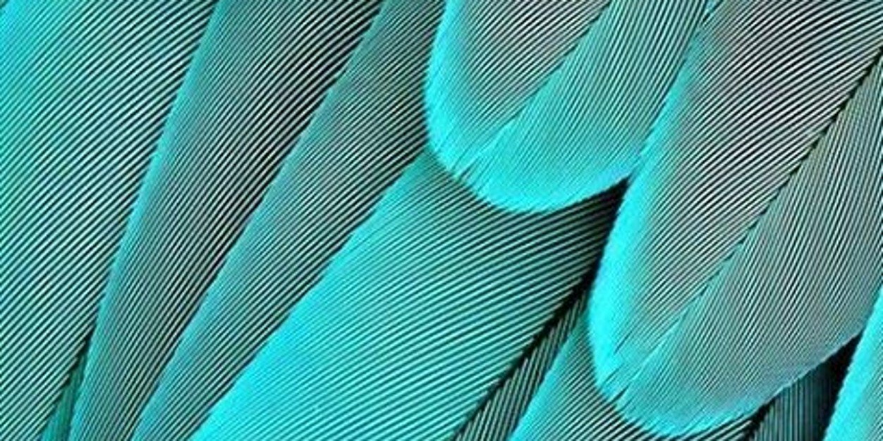 No_emi7's profile banner image