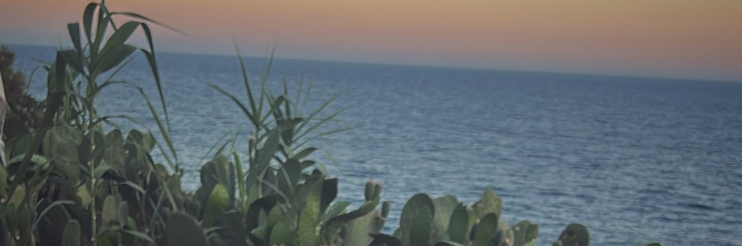 EdaEmirbck's profile banner image
