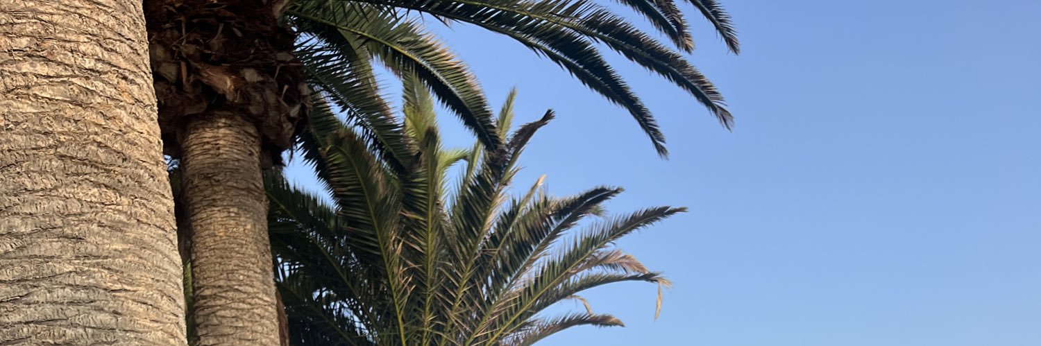 Aduenp's profile banner image