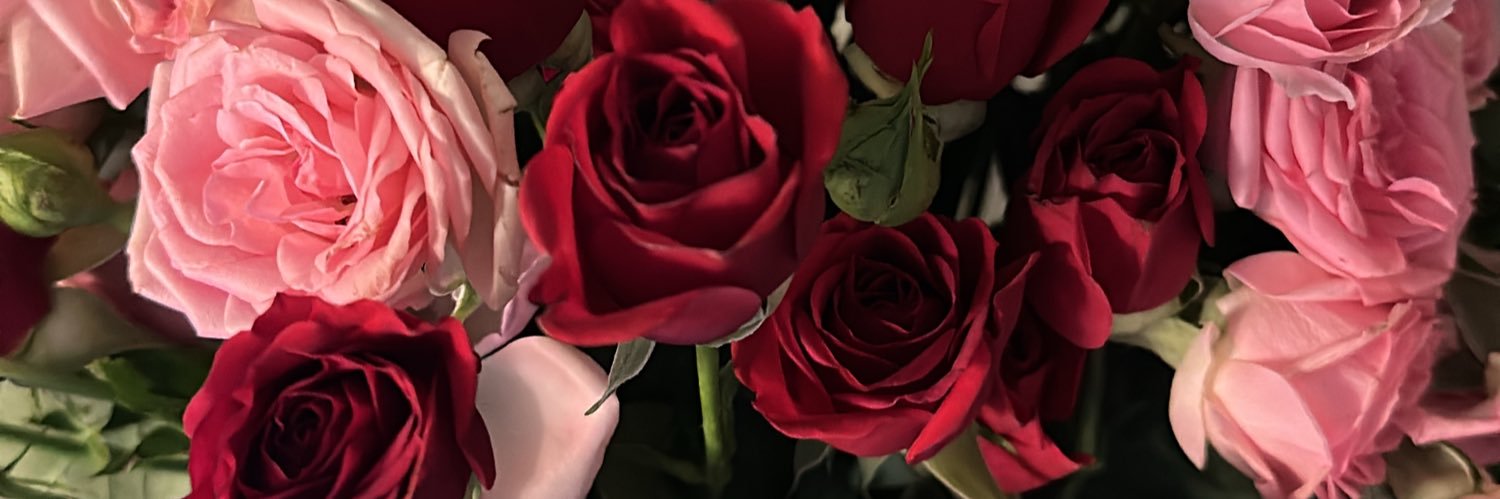 dinabdulah's profile banner image
