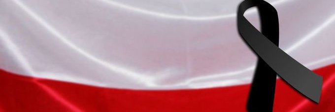 LeonardoDrugi's profile banner image