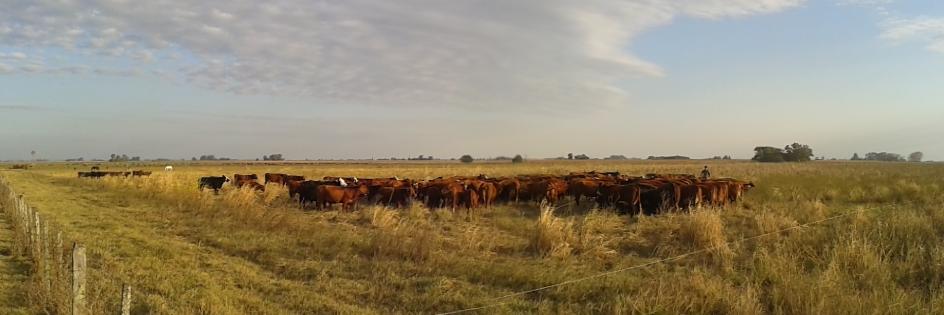 José Luis Fina banner