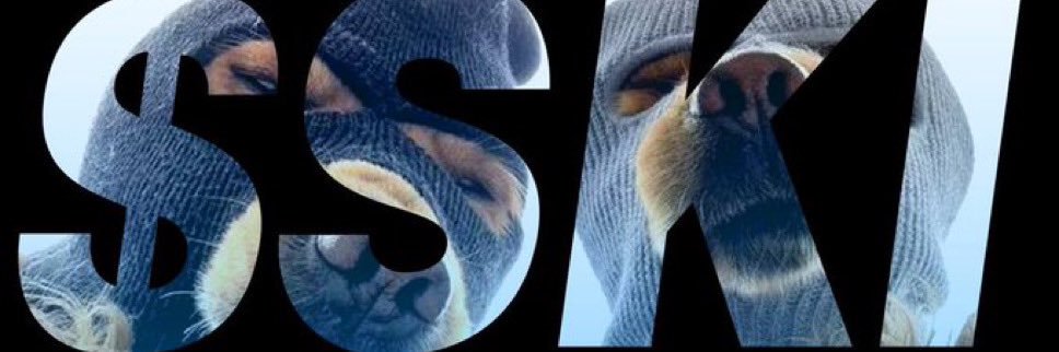 $SKI be Bryant banner