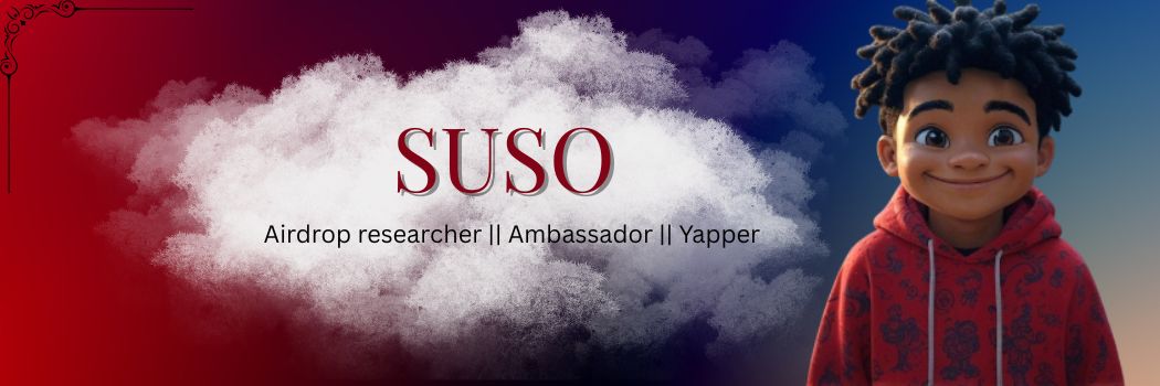 0xsuso1's profile banner image