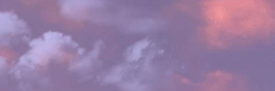 sui banner