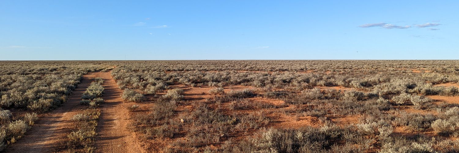 dr. helen brand banner