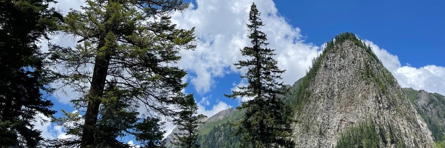 krinaldi1's profile banner image