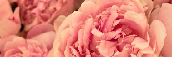 LeiDeBoon's profile banner image