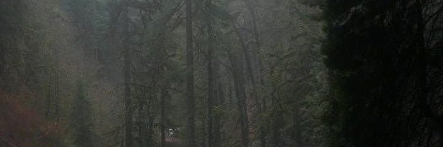 GAT0MON__'s profile banner image