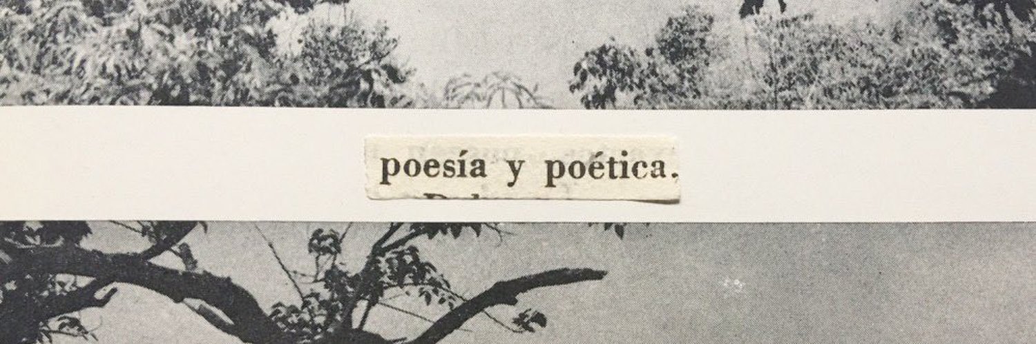 rafaelacalil's profile banner image
