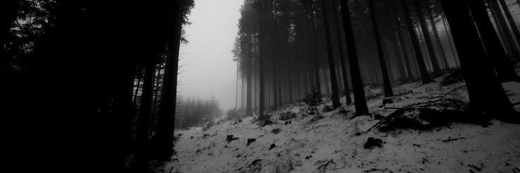 hauntedollll's profile banner image
