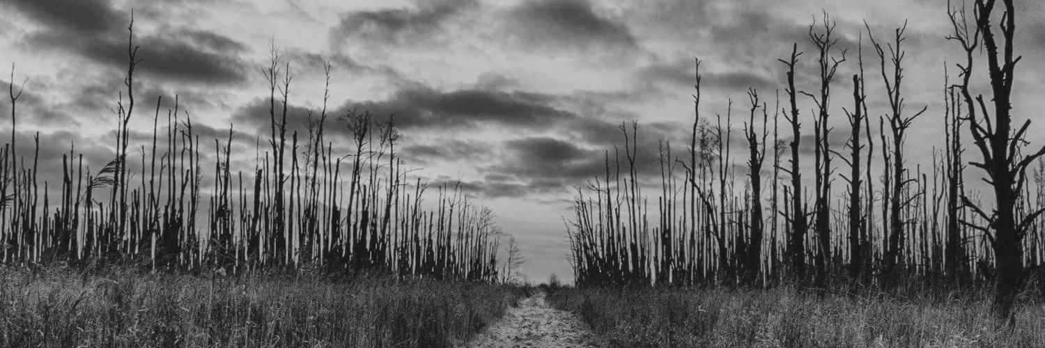 𝔾𝕒𝕓𝕣𝕚𝕖𝕝 {Semi-Hiatus?} banner