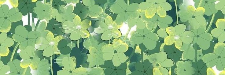 ʚ₊˚ଘഒ 𝐵𝑢𝑛𝑖𝑒𝑙𝑎𝑒 ︶꒦‧₊˚⊹ banner