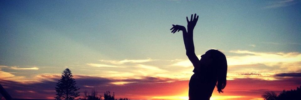 Sara VanderHorst Allard banner