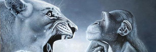 Anarchy 🕸️🇹🇭 banner