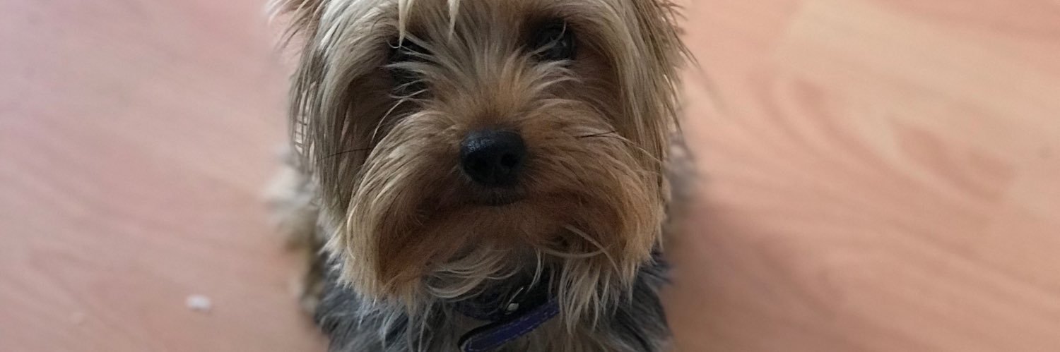 val_VB's profile banner image