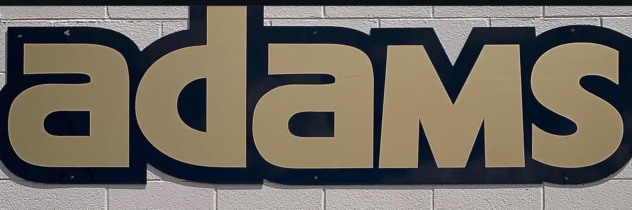Ali Adams banner