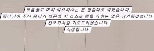 똥글이( ⌯᷄︎ ̫ ⌯᷅︎ ) banner