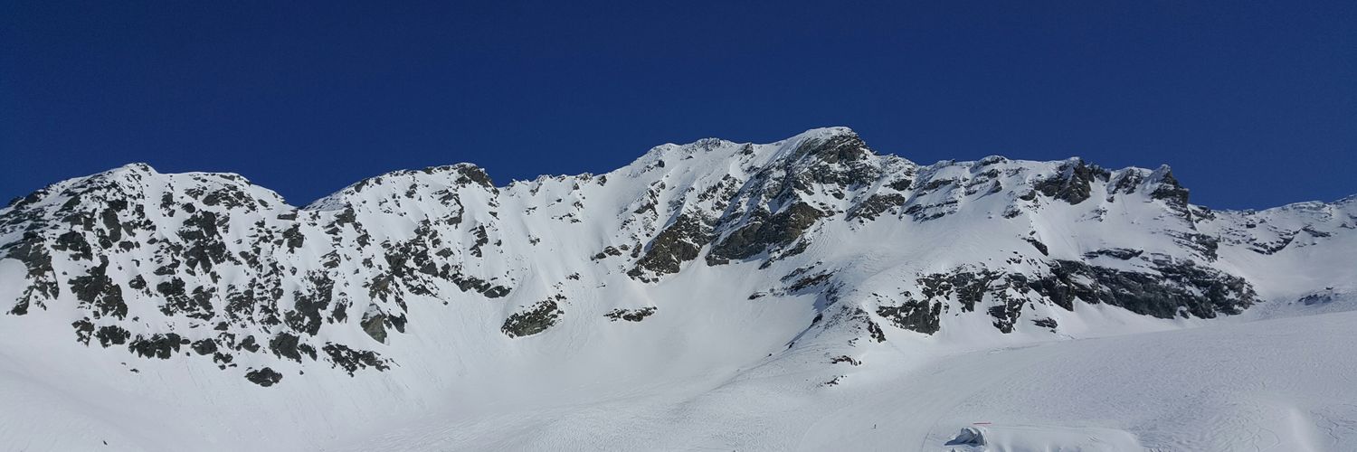 olinotolly's profile banner image
