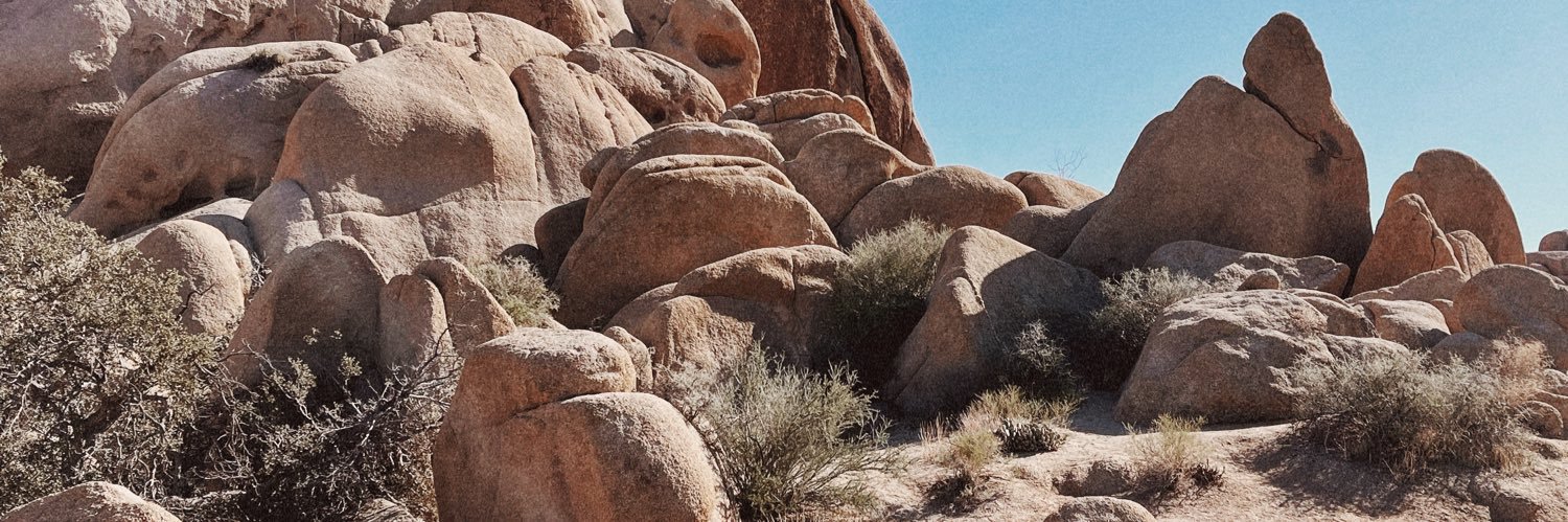 that AB girl 🌵 banner