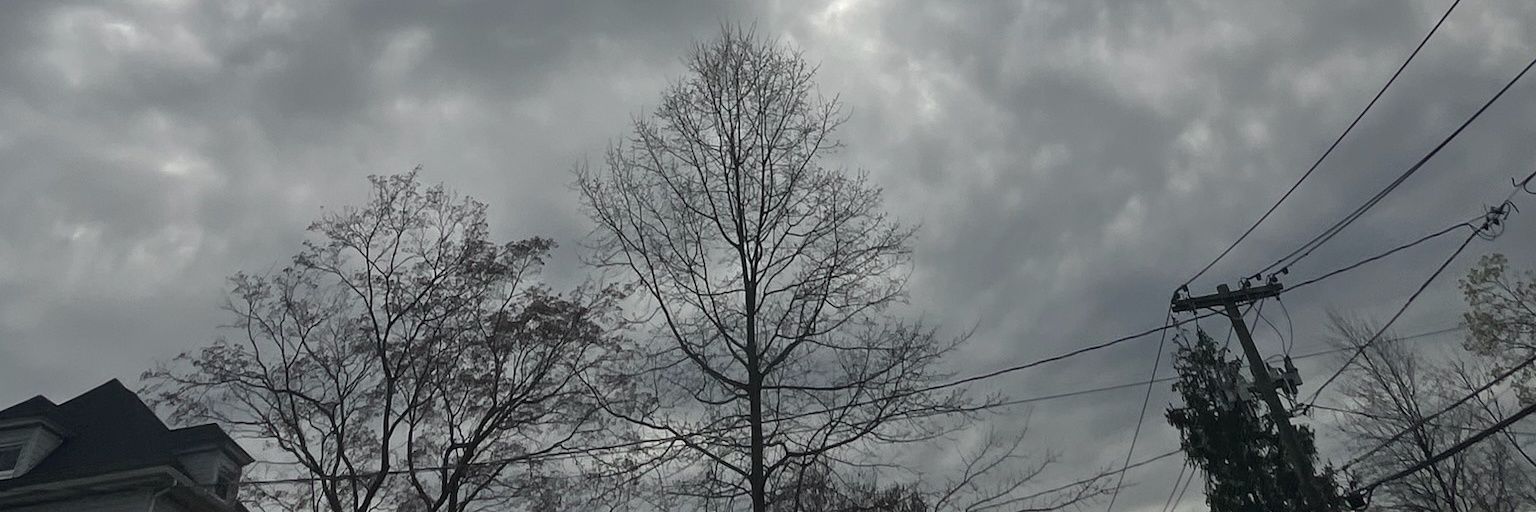 Shandy banner