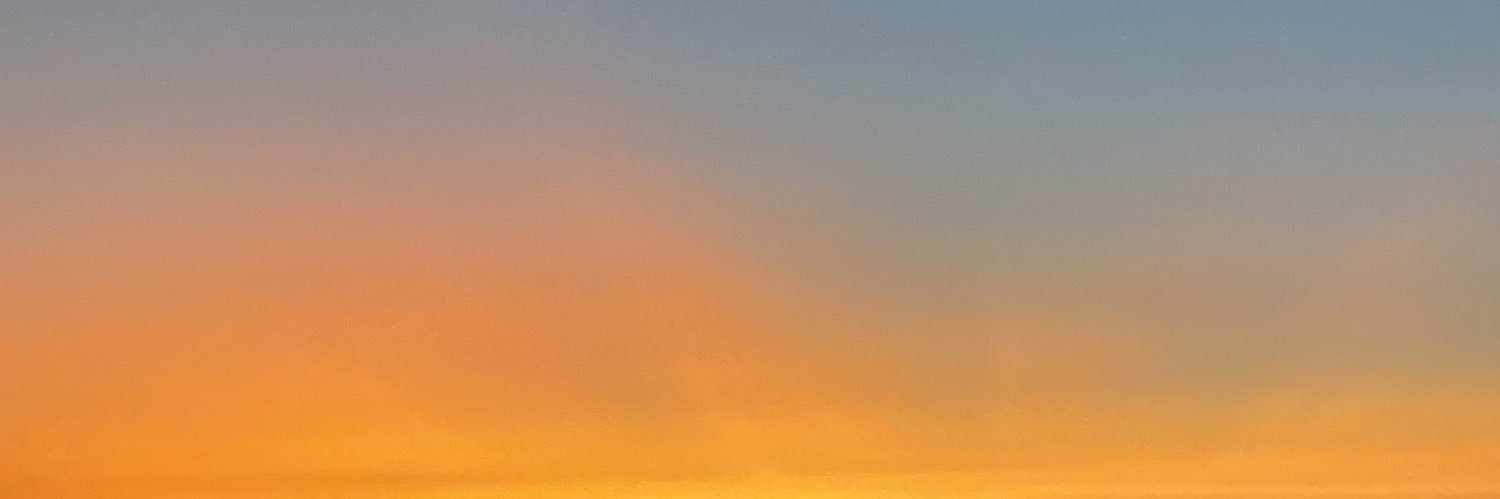 lauucar's profile banner image