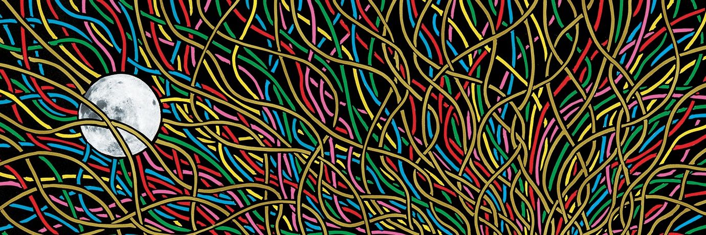 Claire Dixon 🌱 banner