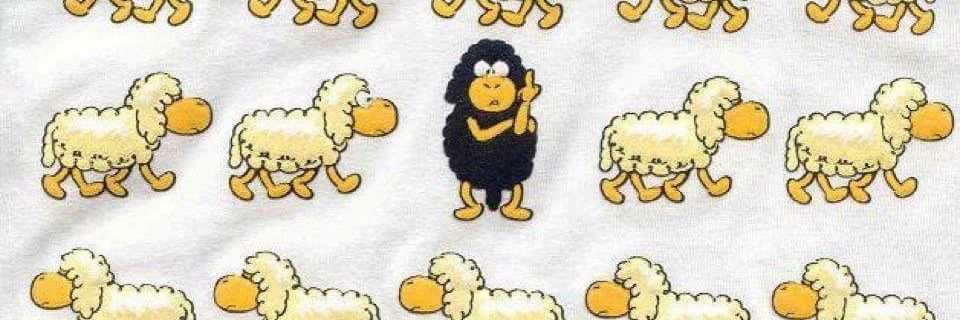 carollmarinho's profile banner image