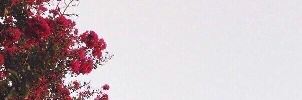mkdmnq_'s profile banner image