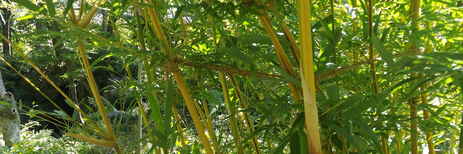 abebe0429's profile banner image