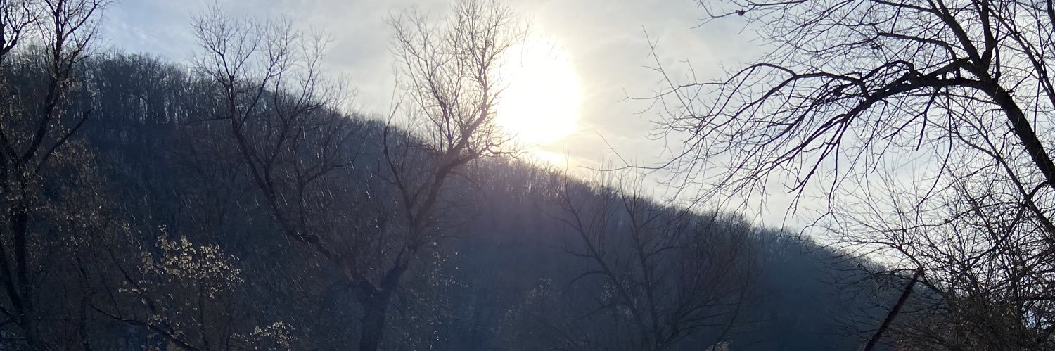 robinsbirdbrain's profile banner image